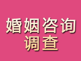 仙游婚姻咨询调查