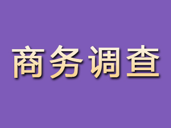 仙游商务调查